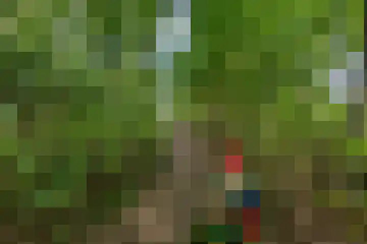 Arumerweg 84 Witmarsum thumbnail 46