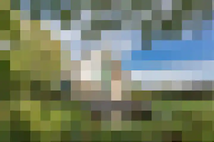 Arumerweg 84 Witmarsum thumbnail 5