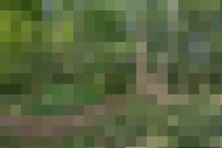 Arumerweg 84 Witmarsum thumbnail 50