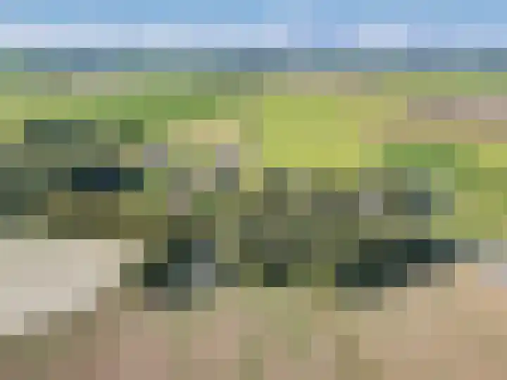 Arumerweg 84 Witmarsum thumbnail 53