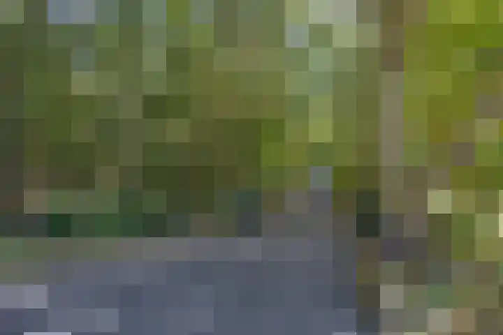 Arumerweg 84 Witmarsum thumbnail 55