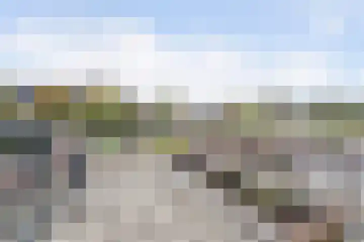 Arumerweg 84 Witmarsum thumbnail 56