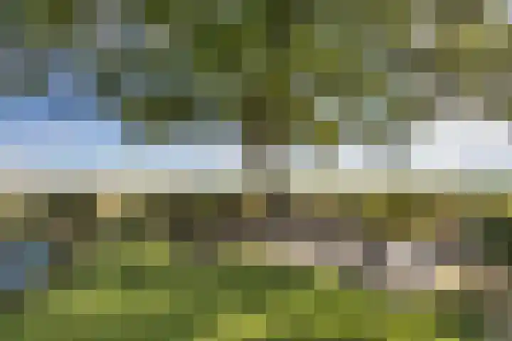 Arumerweg 84 Witmarsum thumbnail 7