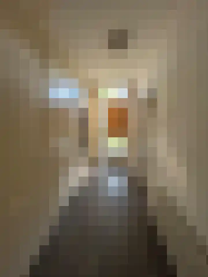 Arve 28 Emmen foto 2