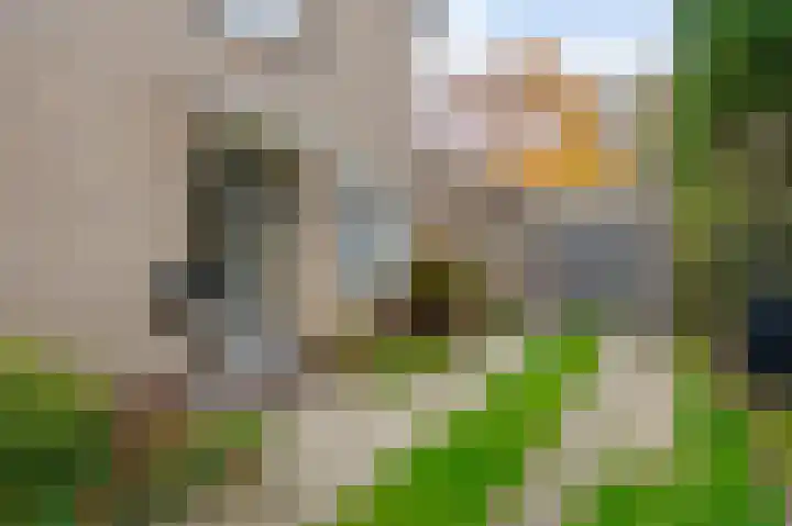 Arve 28 Emmen thumbnail 22