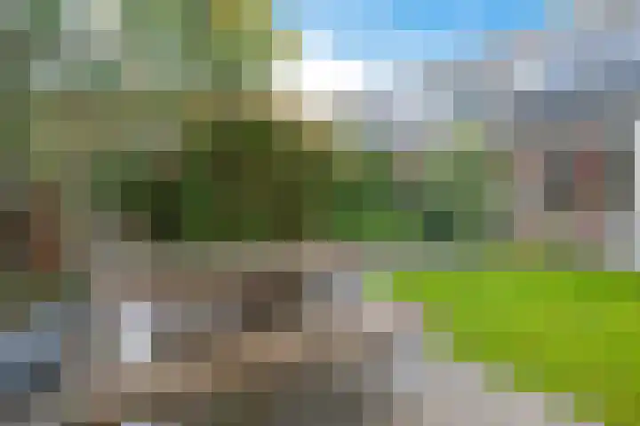 Arve 45 Emmen thumbnail 37