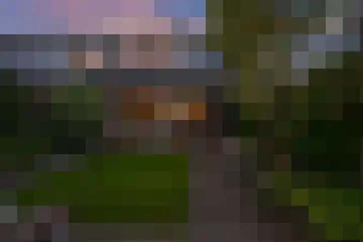 Arve 45 Emmen thumbnail 43