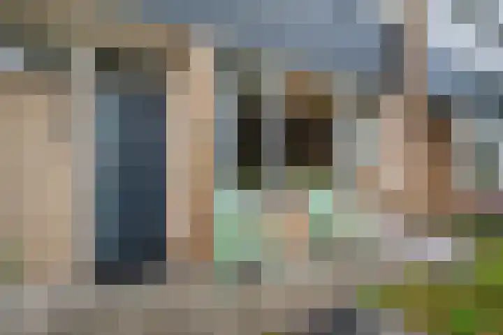 Arve 45 Emmen thumbnail 5
