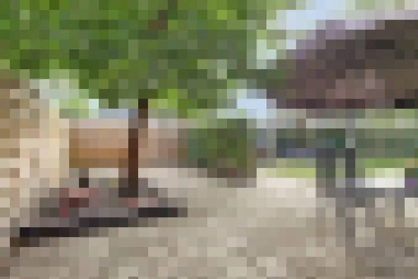 Arve 70 Emmen thumbnail 26