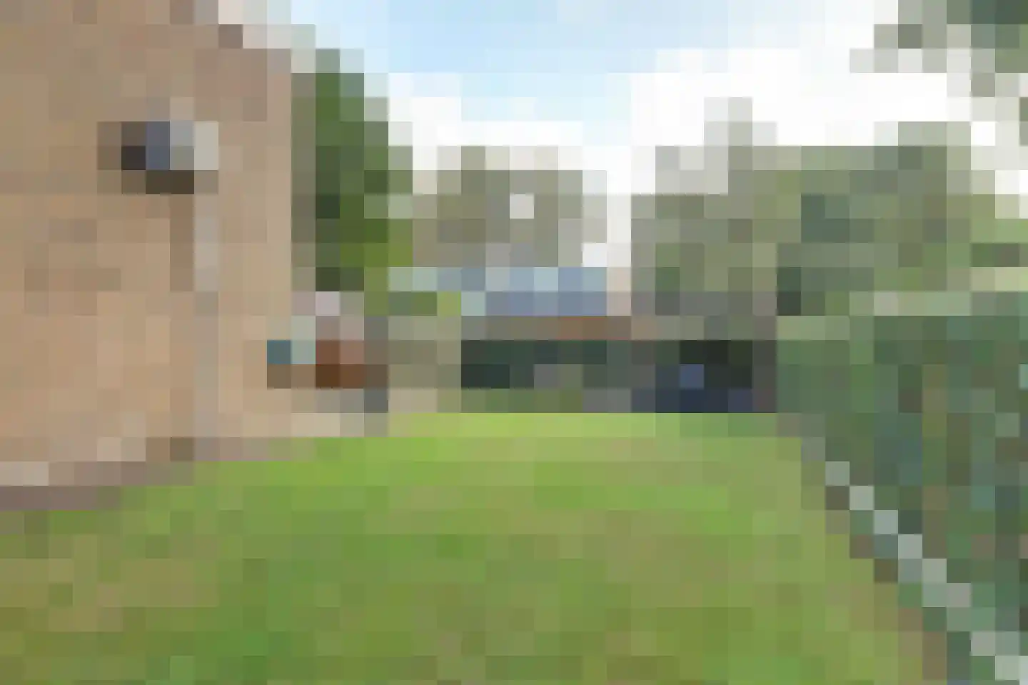 Arve 70 Emmen thumbnail 30