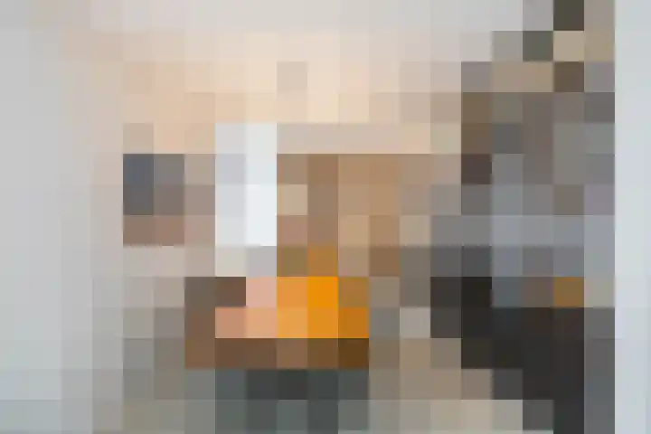 Arwerd 3 Groningen thumbnail 12