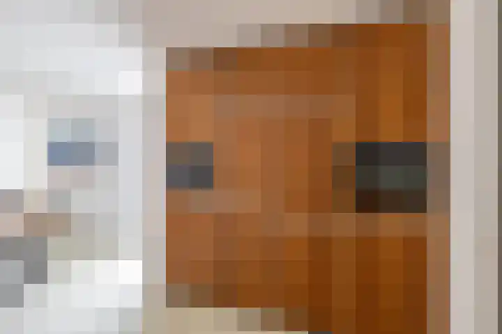 Arwerd 3 Groningen thumbnail 14