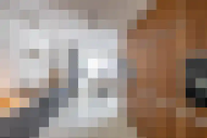 Arwerd 3 Groningen thumbnail 15