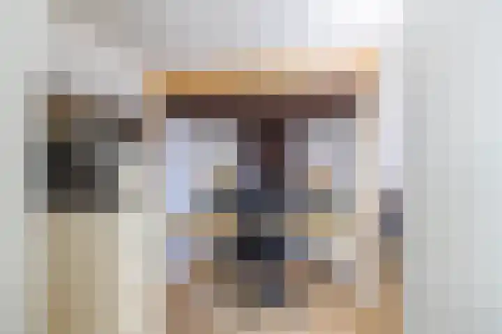 Arwerd 3 Groningen thumbnail 18