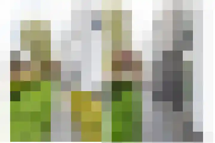 Arwerd 3 Groningen foto 2