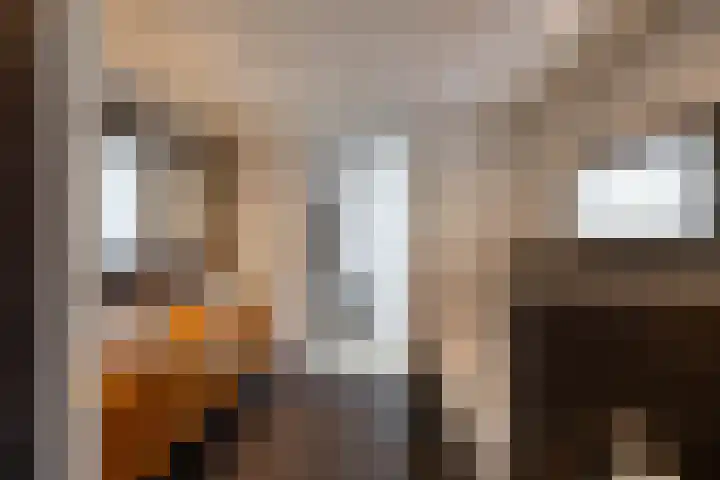 Arwerd 3 Groningen thumbnail 29