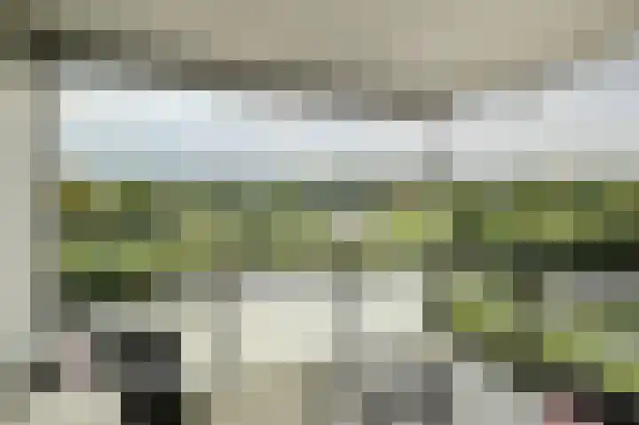 Arwerd 3 Groningen foto 3