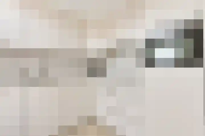 Arwerd 3 Groningen thumbnail 30