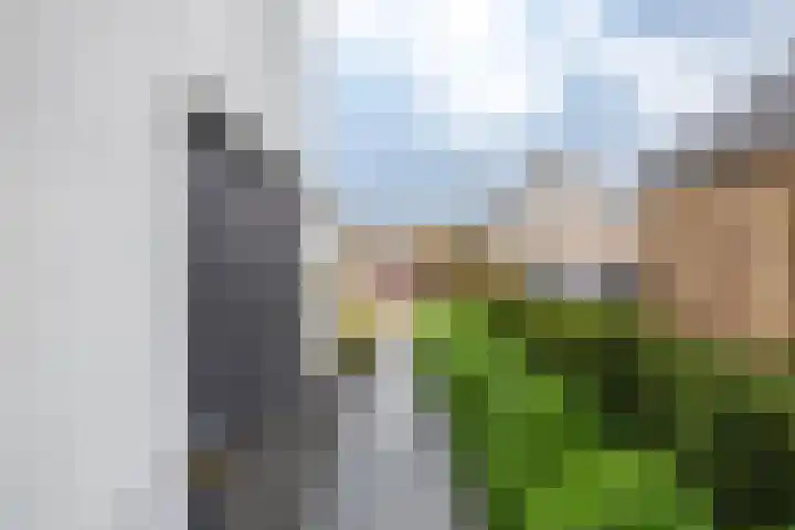 Arwerd 3 Groningen thumbnail 35