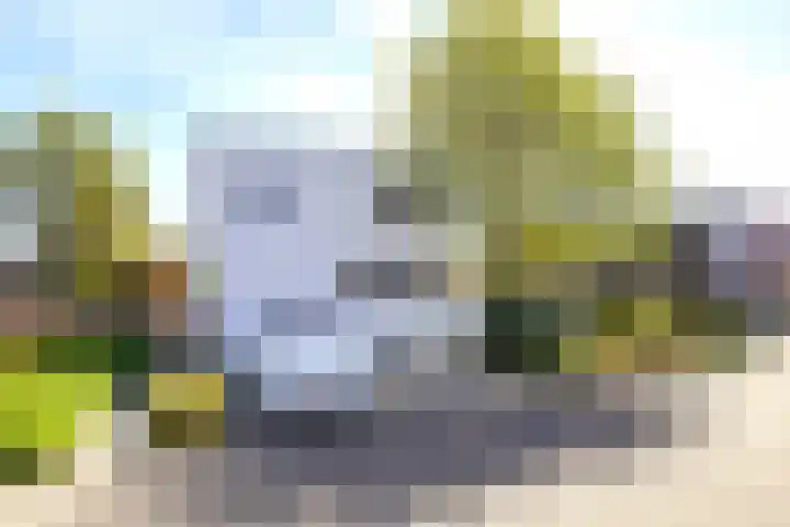 Arwerd 3 Groningen thumbnail 37