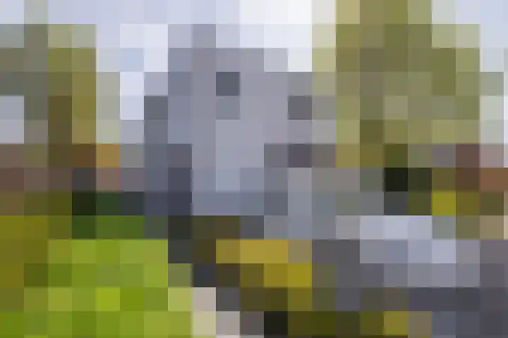 Arwerd 3 Groningen thumbnail 38