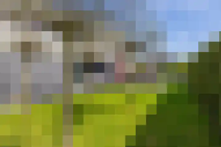 Arwerd 3 Groningen thumbnail 41