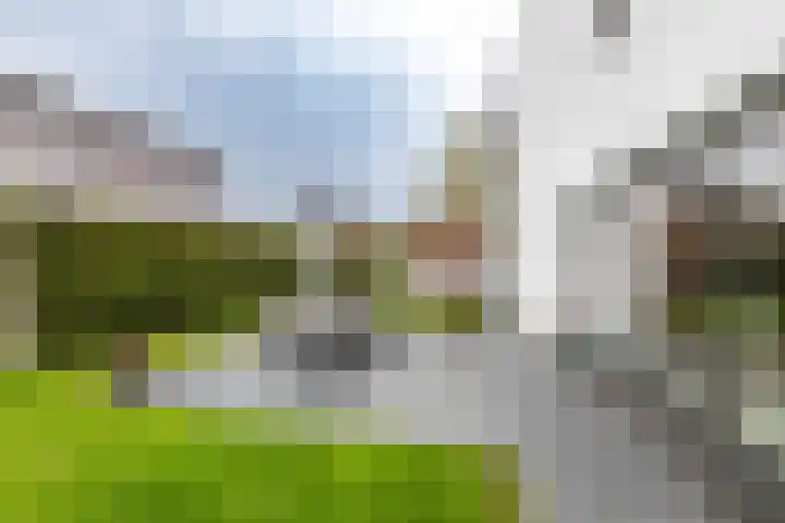 Arwerd 3 Groningen thumbnail 42