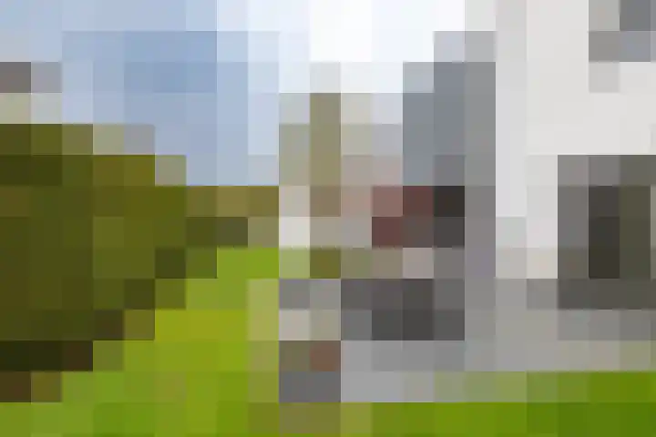 Arwerd 3 Groningen thumbnail 43