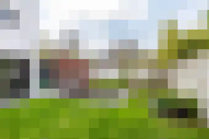 Arwerd 3 Groningen thumbnail 44