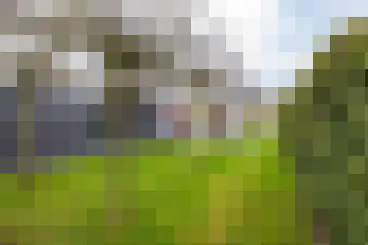 Arwerd 3 Groningen thumbnail 46