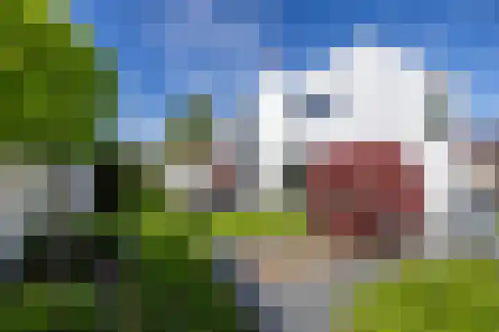 Arwerd 3 Groningen thumbnail 52