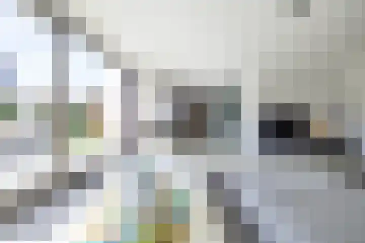 Arwerd 3 Groningen thumbnail 6