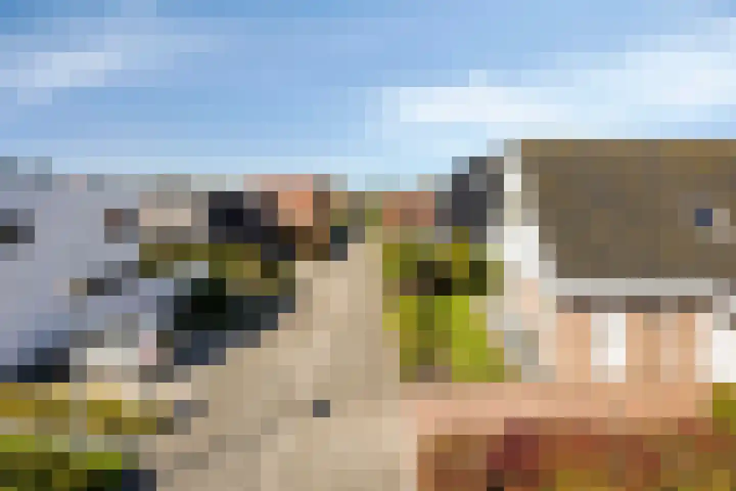 Arwerd 4 Groningen thumbnail 10