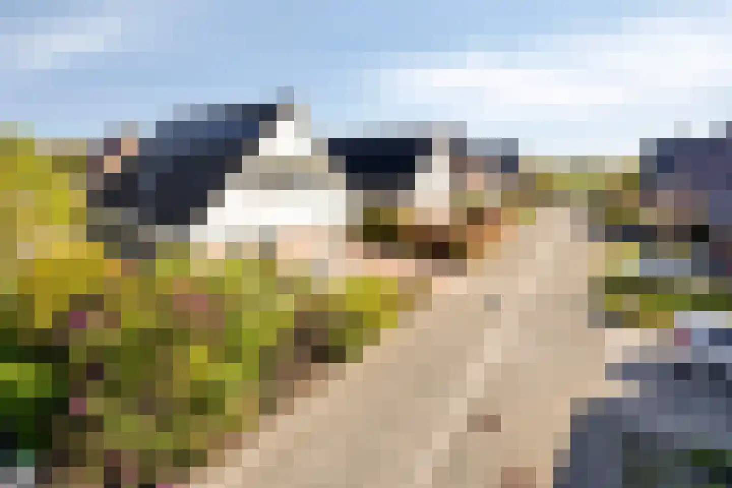 Arwerd 4 Groningen thumbnail 11