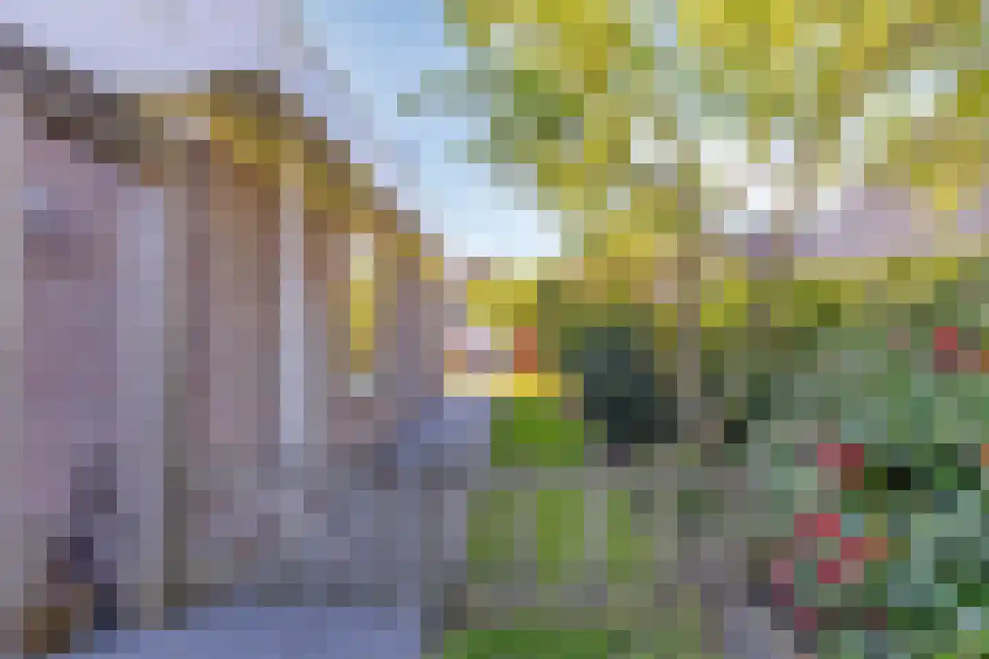 Arwerd 4 Groningen thumbnail 49