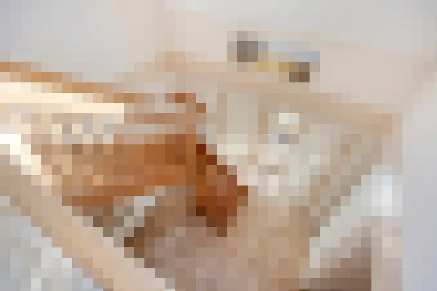 Arwerd 4 Groningen thumbnail 50