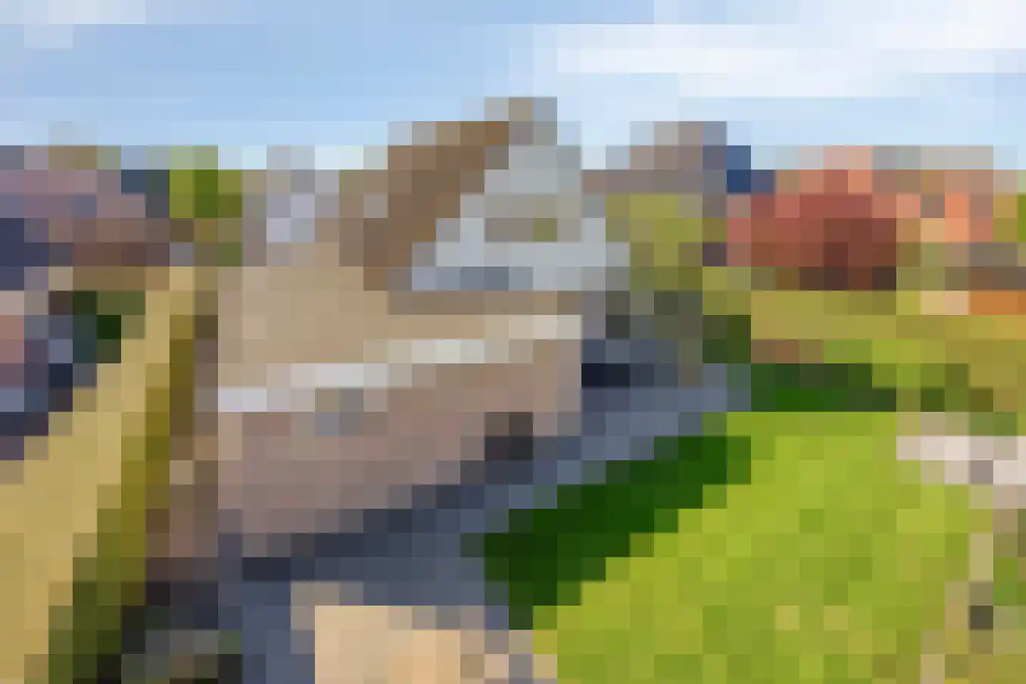 Arwerd 4 Groningen thumbnail 6