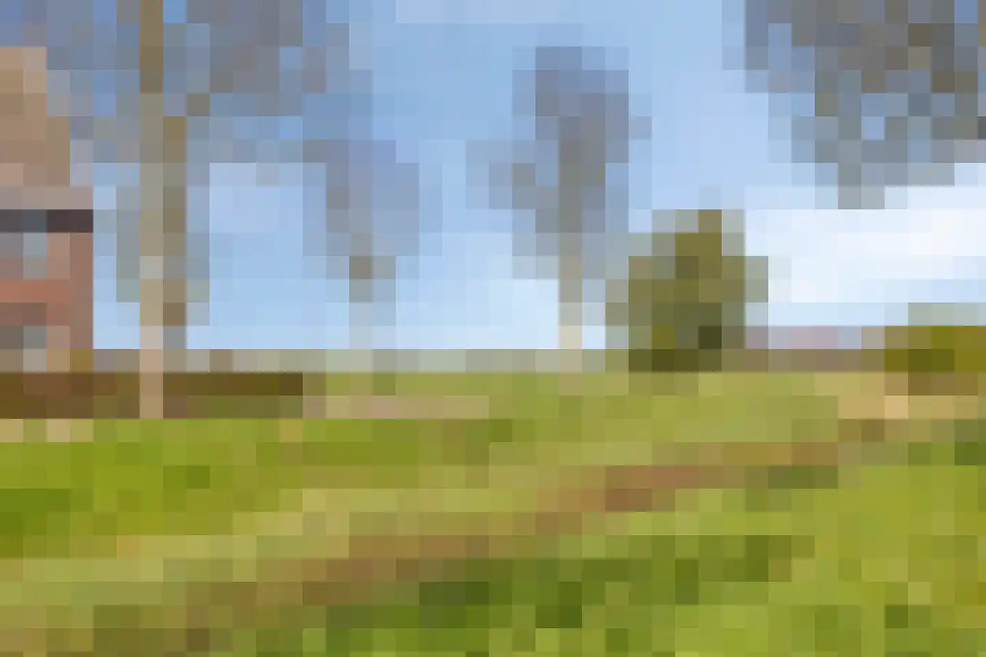 Arwerd 4 Groningen thumbnail 66