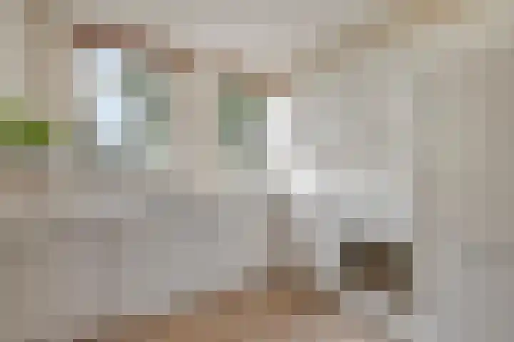 Ary Schefferlaan 22 Hendrik-Ido-Ambacht thumbnail 10