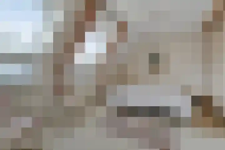 Ary Schefferlaan 22 Hendrik-Ido-Ambacht thumbnail 13
