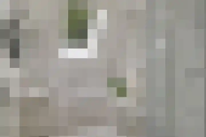 Ary Schefferlaan 22 Hendrik-Ido-Ambacht thumbnail 16