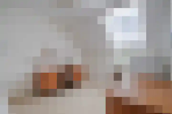 Ary Schefferlaan 22 Hendrik-Ido-Ambacht thumbnail 18