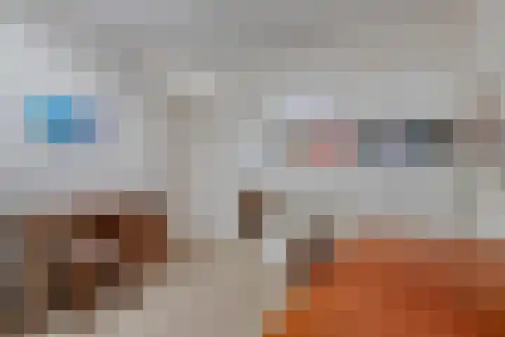 Ary Schefferlaan 22 Hendrik-Ido-Ambacht thumbnail 19