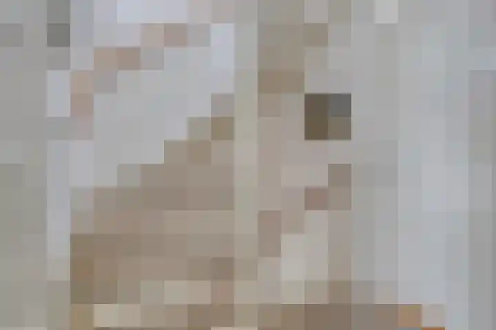 Ary Schefferlaan 22 Hendrik-Ido-Ambacht thumbnail 20