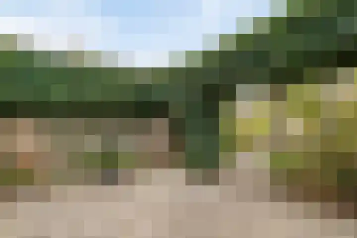 Ary Schefferlaan 22 Hendrik-Ido-Ambacht thumbnail 23