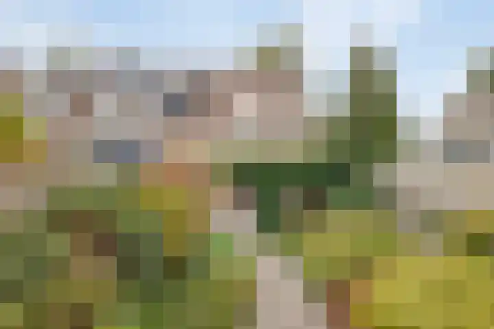 Ary Schefferlaan 22 Hendrik-Ido-Ambacht thumbnail 26