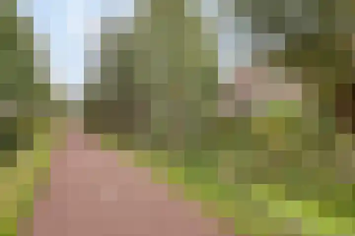 Ary Schefferlaan 22 Hendrik-Ido-Ambacht thumbnail 4