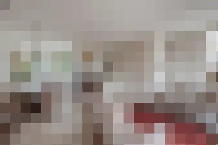 Ary Schefferlaan 22 Hendrik-Ido-Ambacht thumbnail 8
