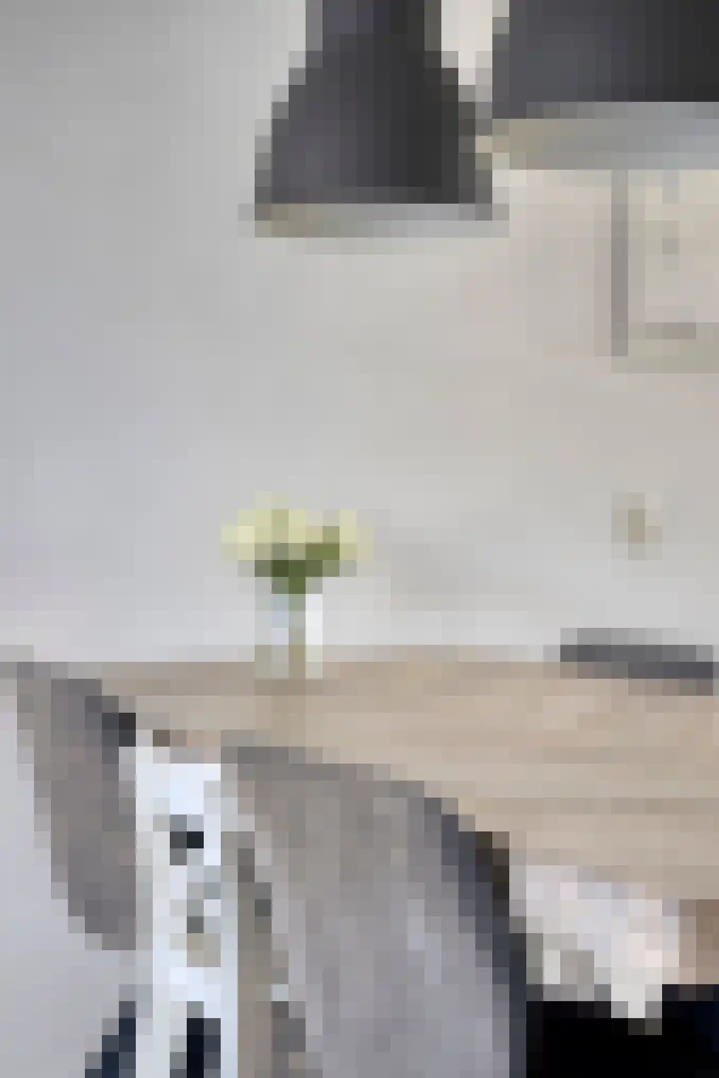 Ary Schefferlaan 8 Hendrik-Ido-Ambacht thumbnail 11