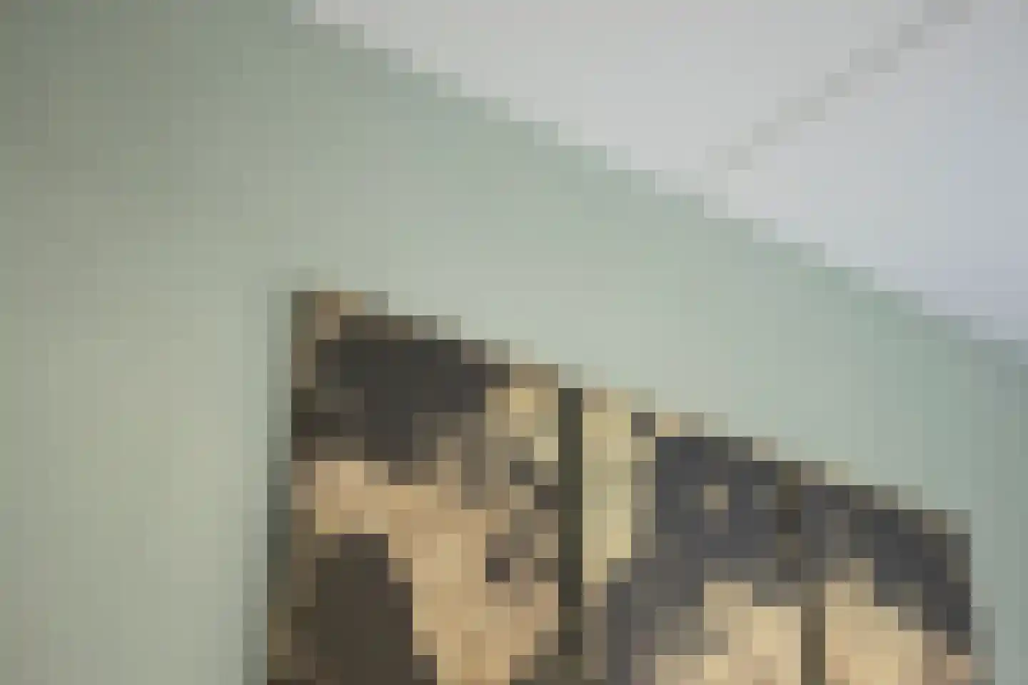 Ary Schefferlaan 8 Hendrik-Ido-Ambacht thumbnail 12